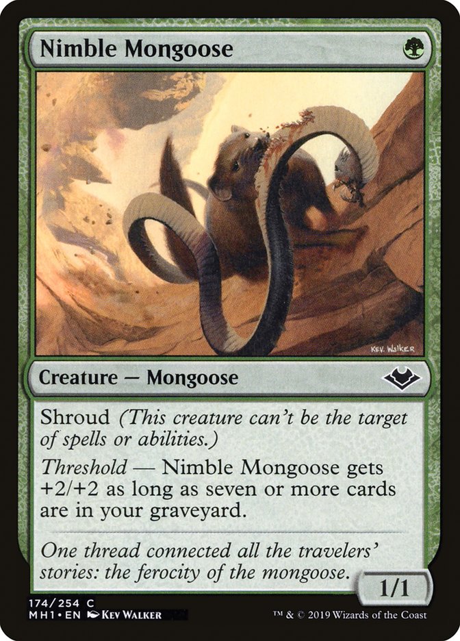 Nimble Mongoose [Modern Horizons] | Exor Games New Glasgow