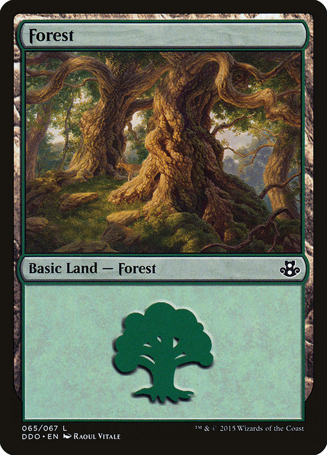 Forest (65) [Duel Decks: Elspeth vs. Kiora] | Exor Games New Glasgow