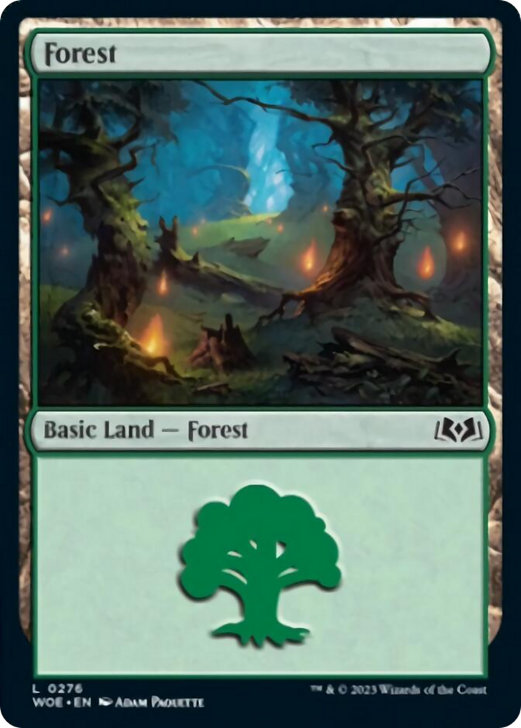 Forest (0276) [Wilds of Eldraine] | Exor Games New Glasgow