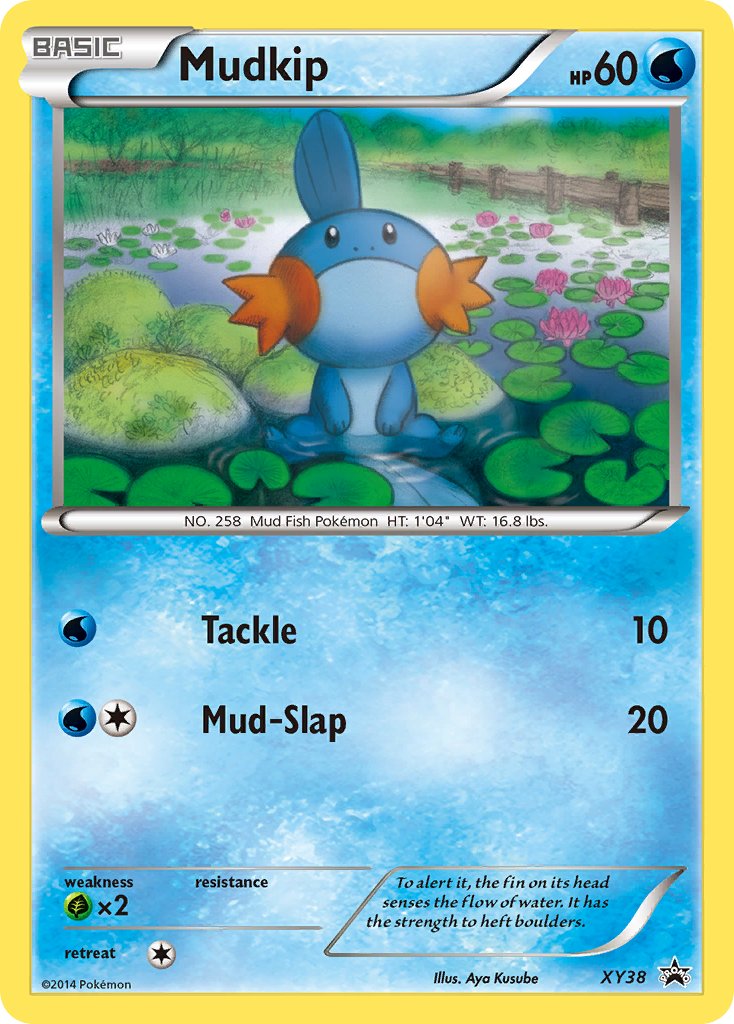 Mudkip (XY38) [XY: Black Star Promos] | Exor Games New Glasgow