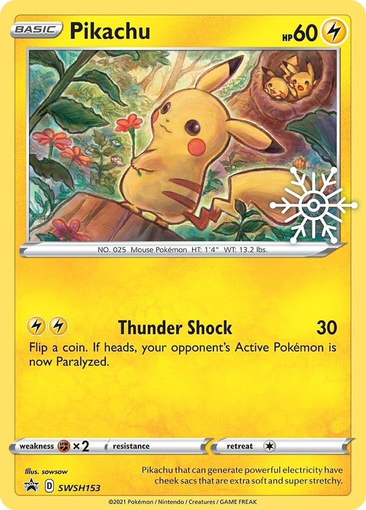 Pikachu (SWSH153) (Holiday Calendar) [Sword & Shield: Black Star Promos] | Exor Games New Glasgow