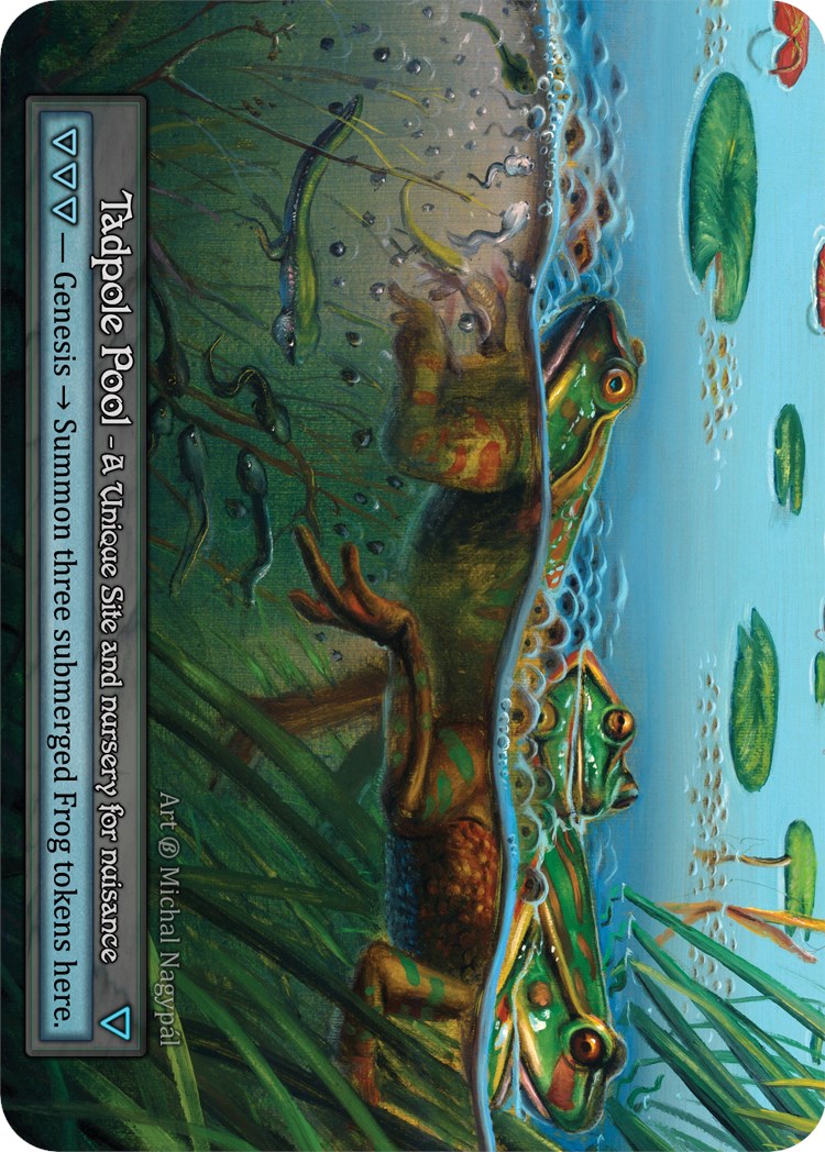Tadpole Pool [Beta] | Exor Games New Glasgow