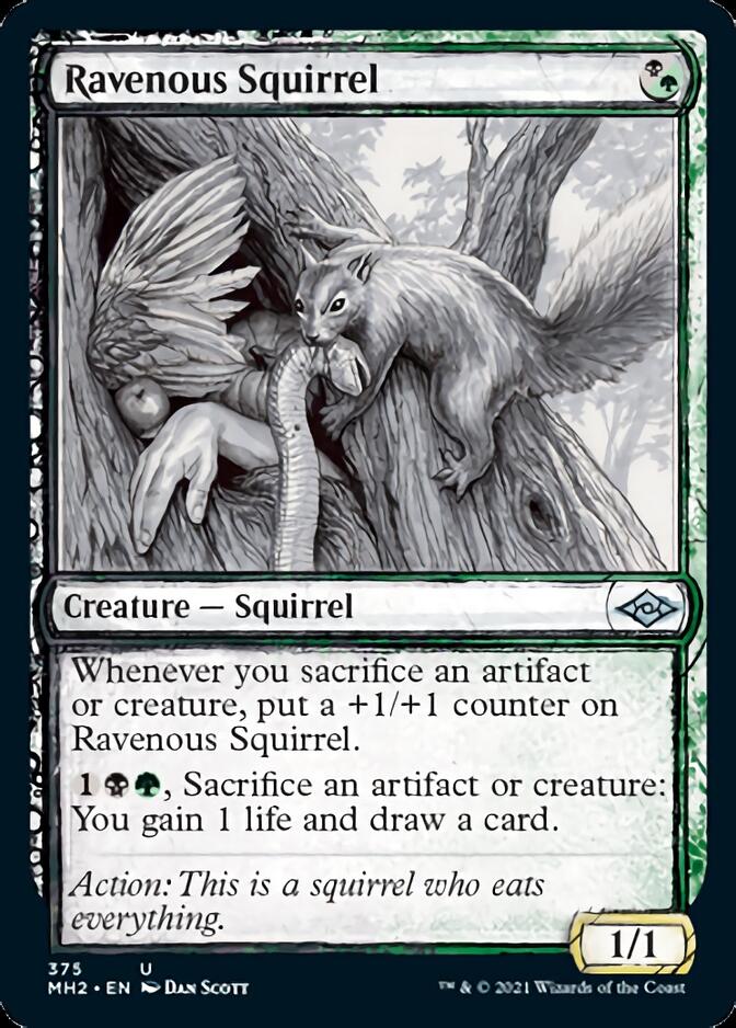 Ravenous Squirrel (Sketch) [Modern Horizons 2] | Exor Games New Glasgow