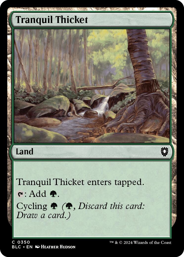 Tranquil Thicket [Bloomburrow Commander] | Exor Games New Glasgow