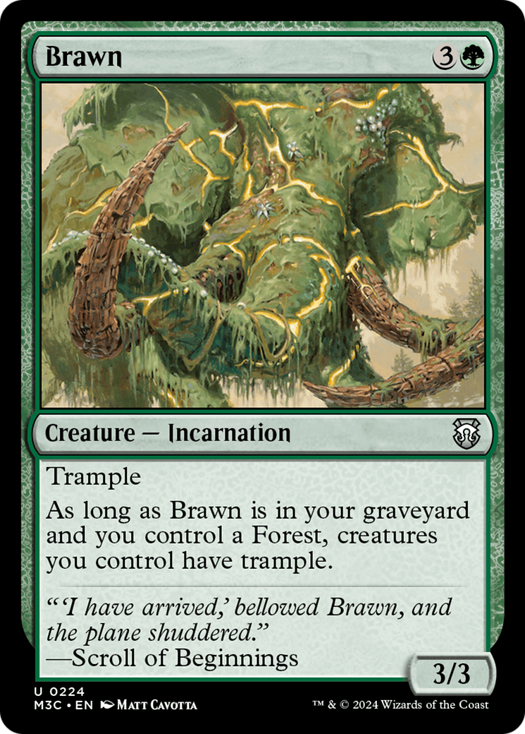 Brawn [Modern Horizons 3 Commander] | Exor Games New Glasgow