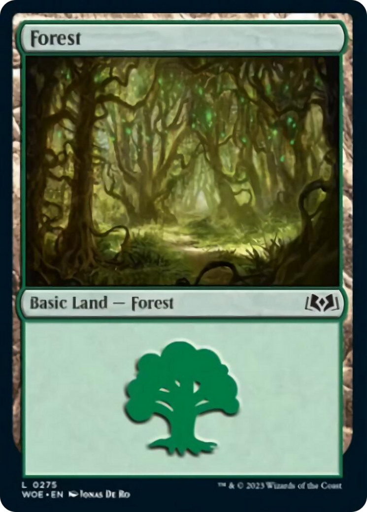 Forest (0275) [Wilds of Eldraine] | Exor Games New Glasgow