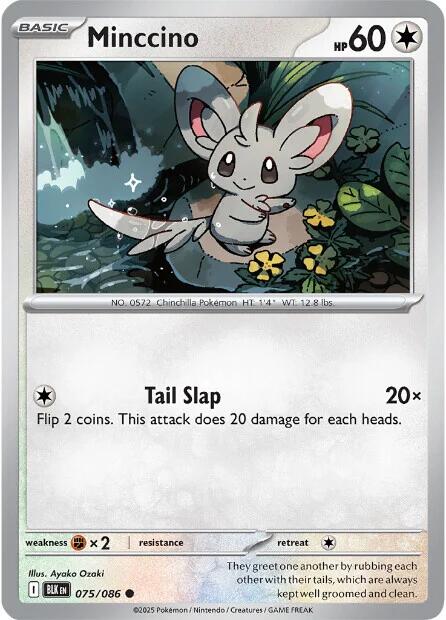 Minccino (075/086) [Scarlet & Violet: Black Bolt] | Exor Games New Glasgow