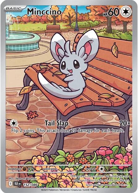 Minccino (152/086) [Scarlet & Violet: Black Bolt] | Exor Games New Glasgow