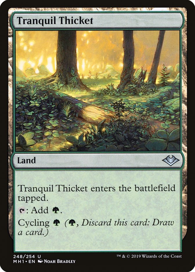 Tranquil Thicket [Modern Horizons] | Exor Games New Glasgow