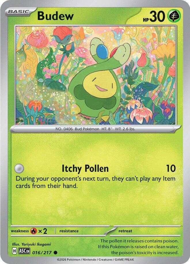 Budew (016/217) [Mega Evolution: Ascended Heroes] | Exor Games New Glasgow