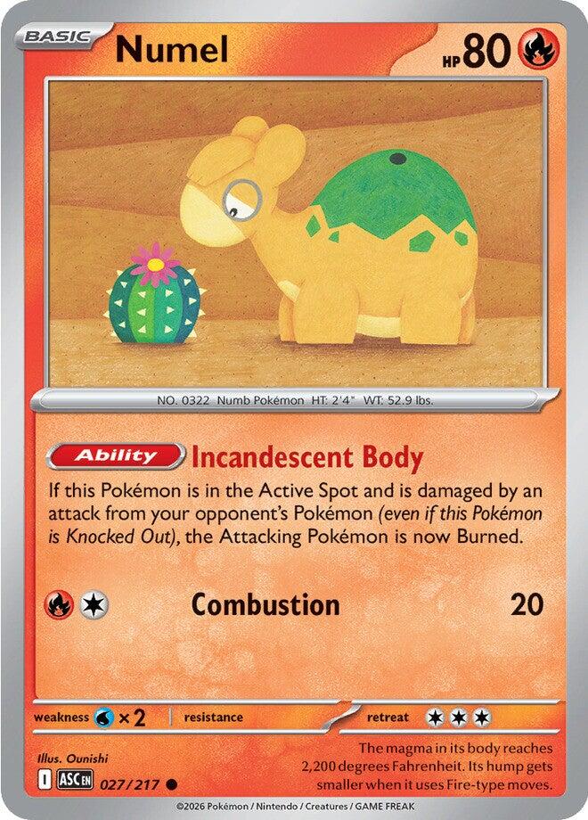 Numel (027/217) [Mega Evolution: Ascended Heroes] | Exor Games New Glasgow