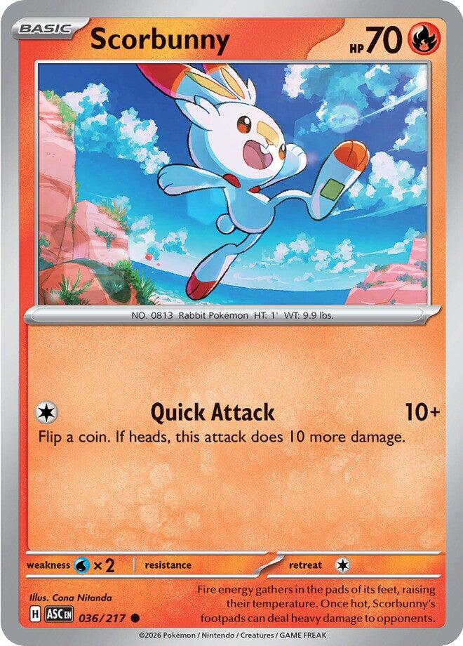 Scorbunny (036/217) [Mega Evolution: Ascended Heroes] | Exor Games New Glasgow