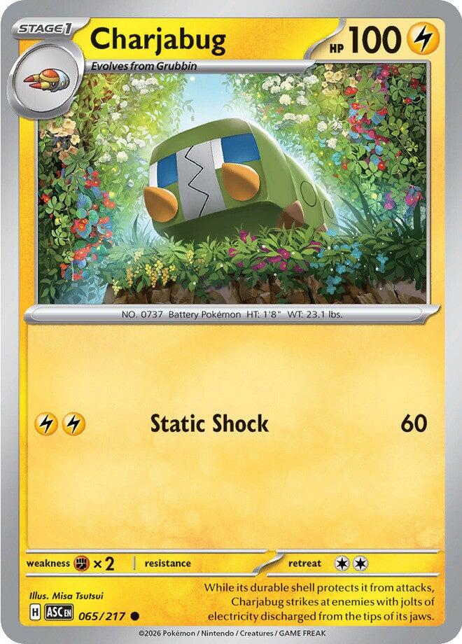 Charjabug (065/217) [Mega Evolution: Ascended Heroes] | Exor Games New Glasgow