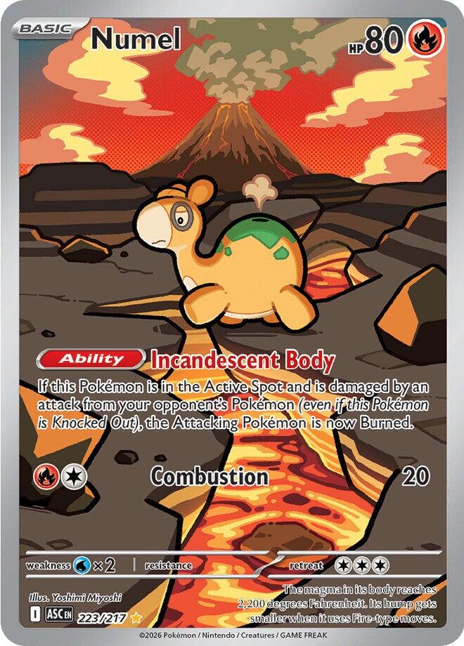 Numel (223/217) [Mega Evolution: Ascended Heroes] | Exor Games New Glasgow