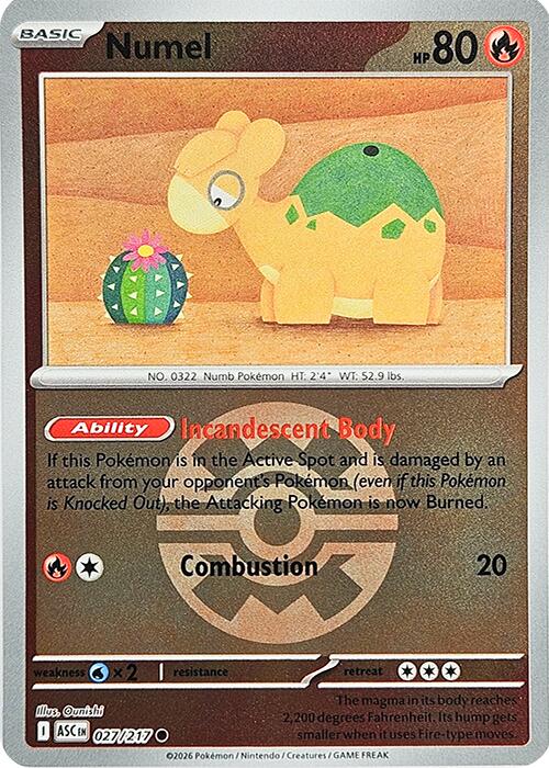 Numel (027/217) (Quick Ball) [Mega Evolution: Ascended Heroes] | Exor Games New Glasgow