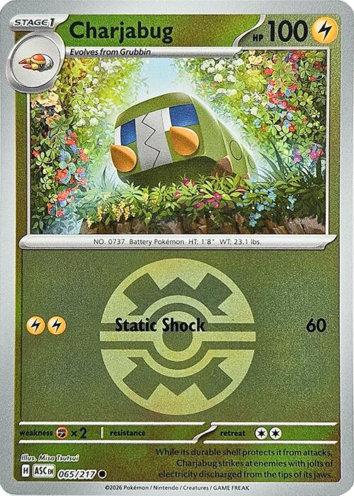 Charjabug (065/217) (Quick Ball) [Mega Evolution: Ascended Heroes] | Exor Games New Glasgow