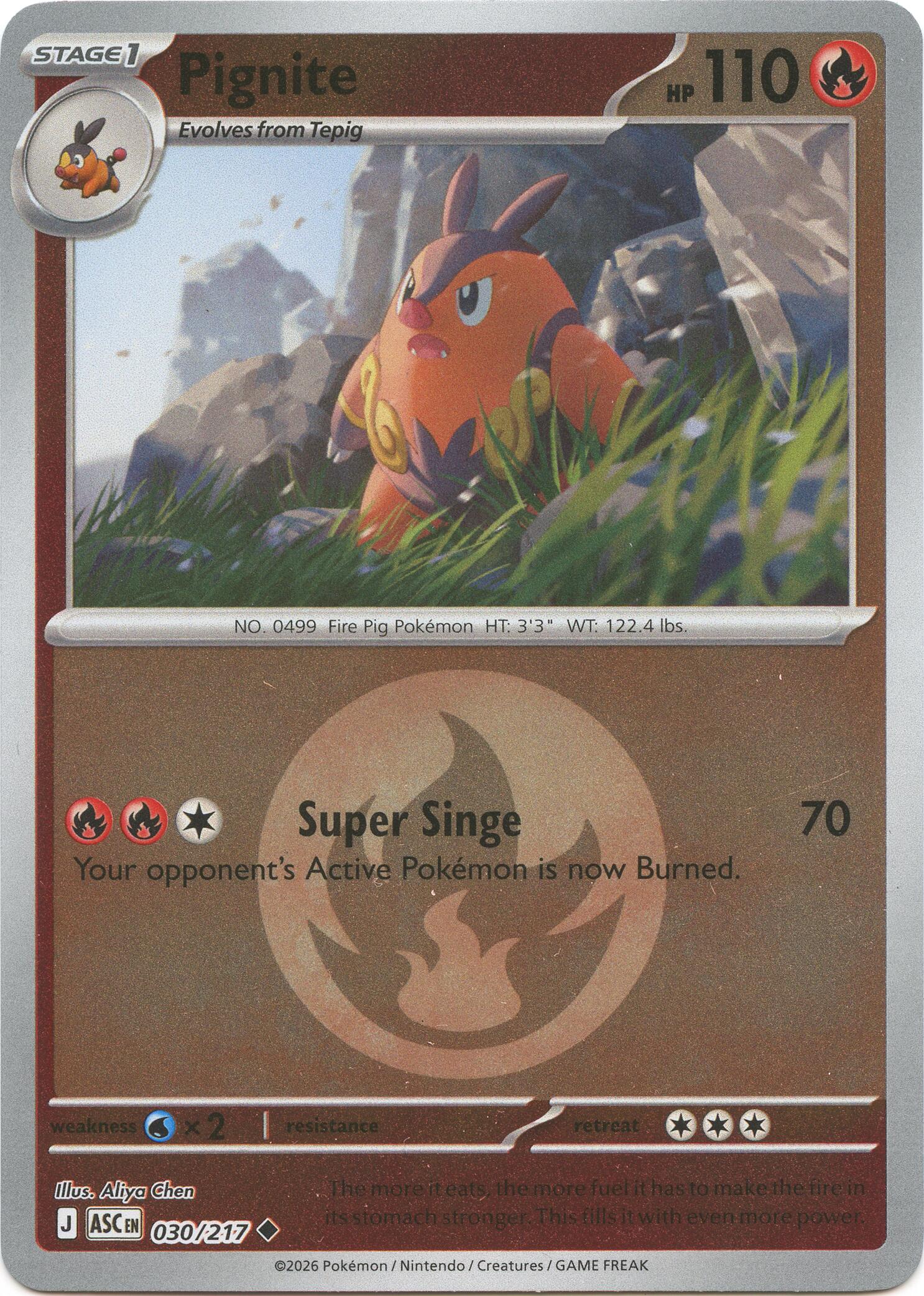 Pignite (030/217) (Energy Symbol Pattern) [Mega Evolution: Ascended Heroes] | Exor Games New Glasgow