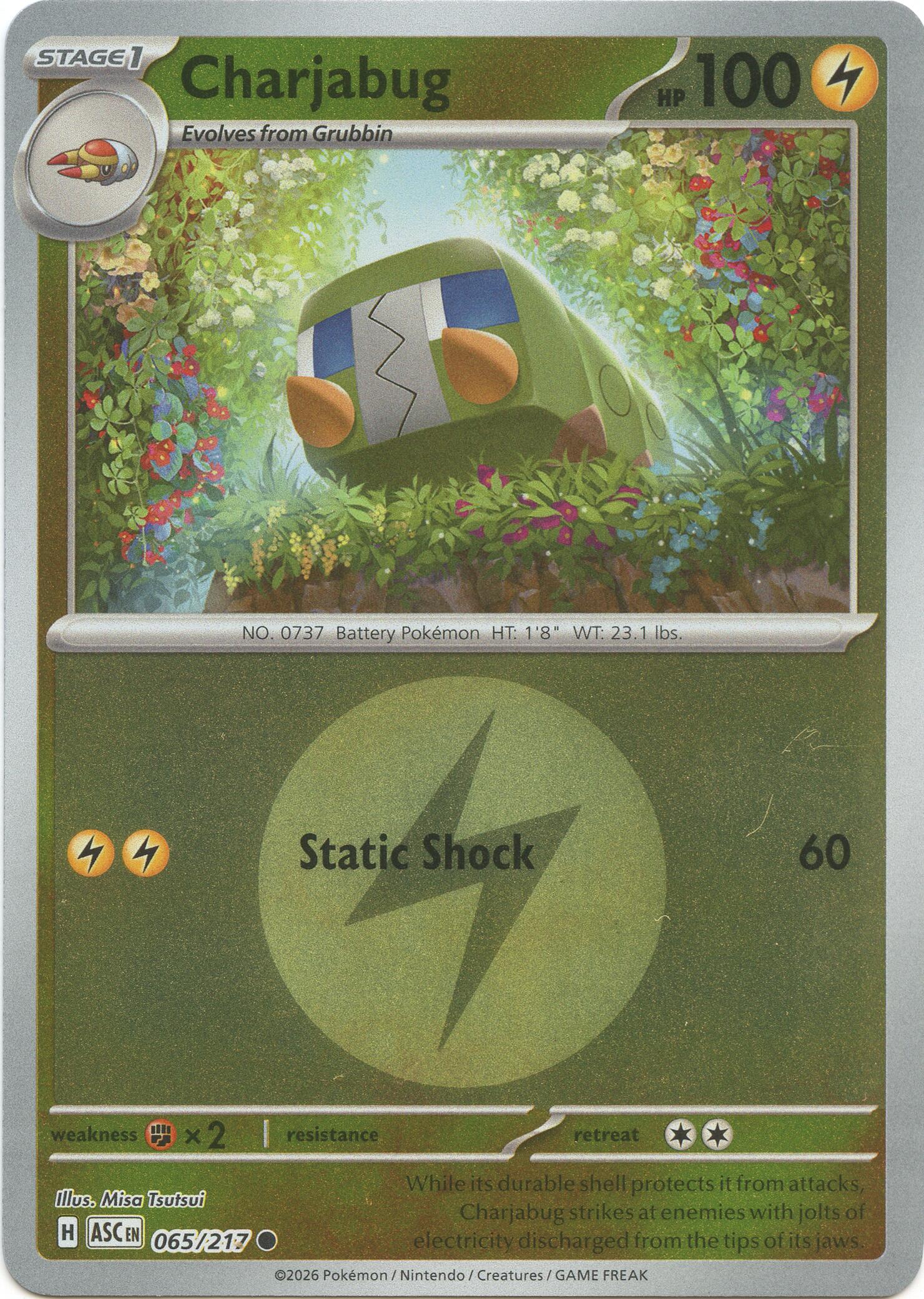 Charjabug (065/217) (Energy Symbol Pattern) [Mega Evolution: Ascended Heroes] | Exor Games New Glasgow