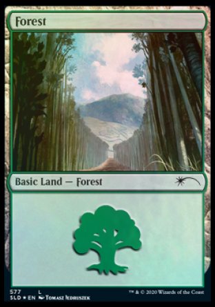 Forest (Walls) (577) [Secret Lair Drop Promos] | Exor Games New Glasgow