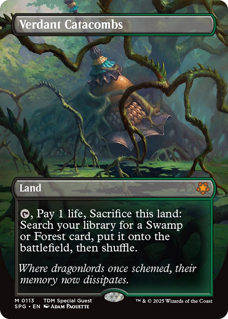 Verdant Catacombs (Borderless) [Tarkir: Dragonstorm Special Guests] | Exor Games New Glasgow