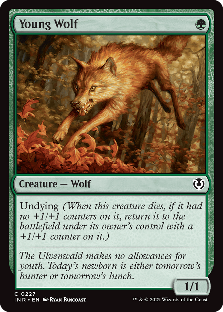 Young Wolf [Innistrad Remastered] | Exor Games New Glasgow