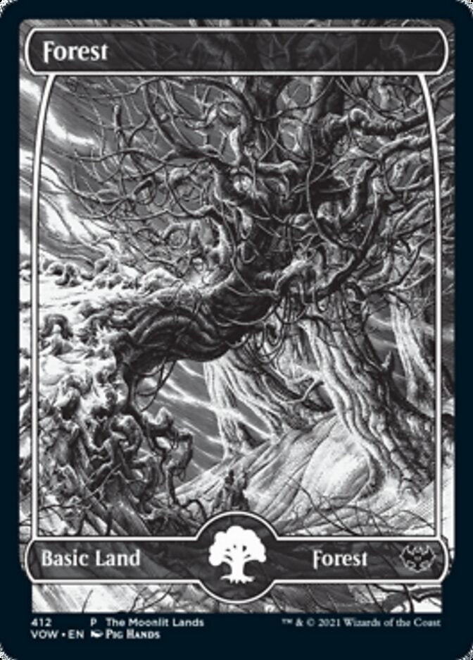 Forest (The Moonlit Lands) (Foil Etched) [Innistrad: Crimson Vow Promos] | Exor Games New Glasgow