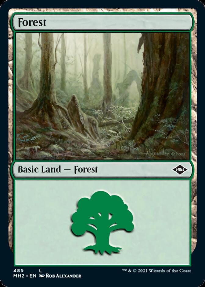 Forest (489) (Foil Etched) [Modern Horizons 2] | Exor Games New Glasgow