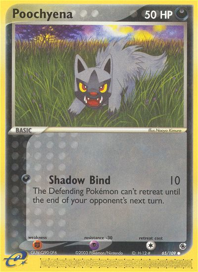 Poochyena (65/109) [EX: Ruby & Sapphire] | Exor Games New Glasgow