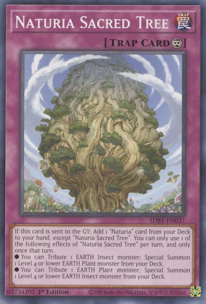 Naturia Sacred Tree [SDBT-EN037] Common | Exor Games New Glasgow