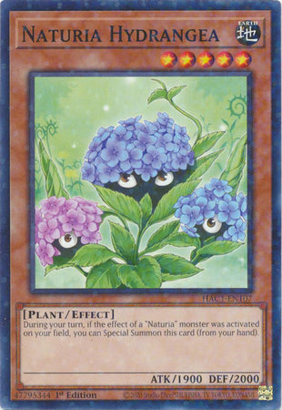 Naturia Hydrangea (Duel Terminal) [HAC1-EN107] Common | Exor Games New Glasgow