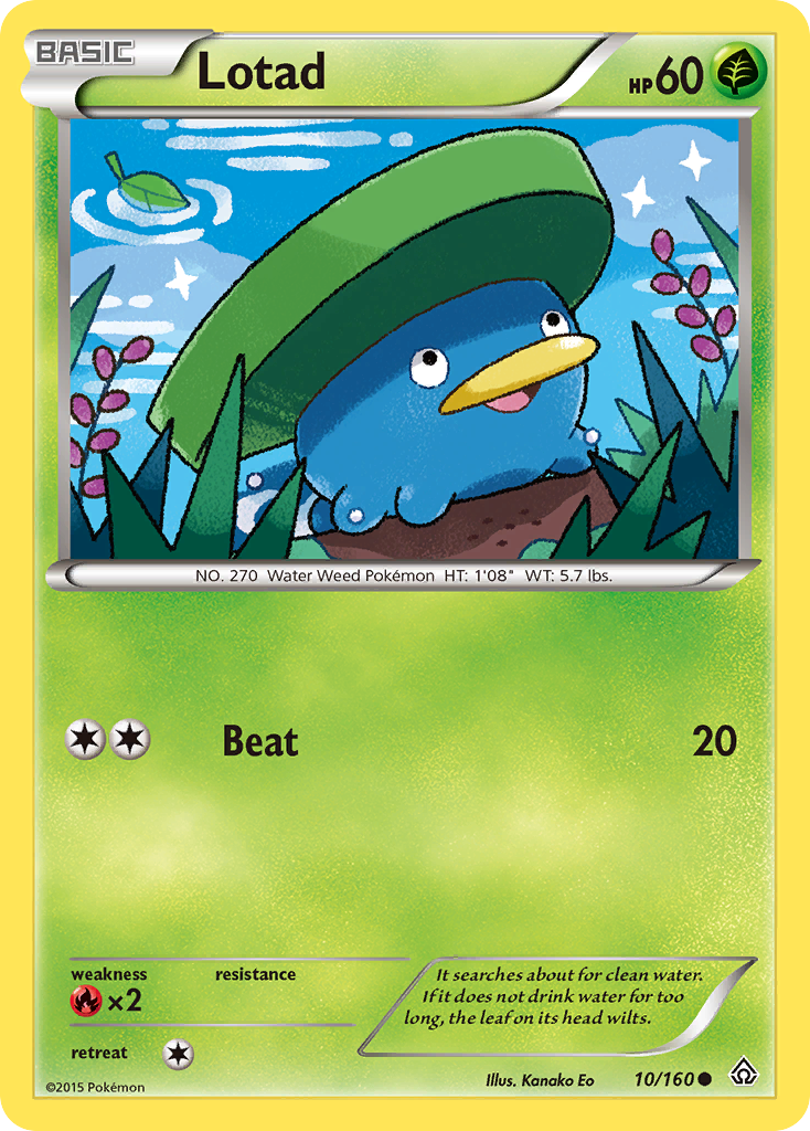 Lotad (10/160) [XY: Primal Clash] | Exor Games New Glasgow