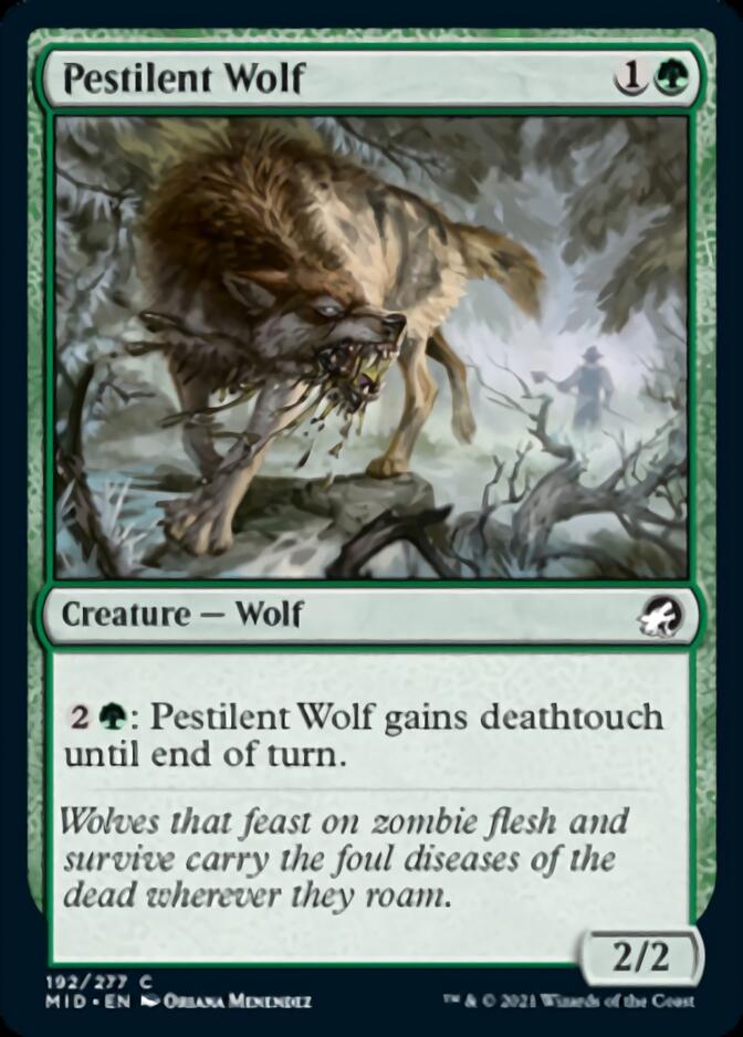 Pestilent Wolf [Innistrad: Midnight Hunt] | Exor Games New Glasgow