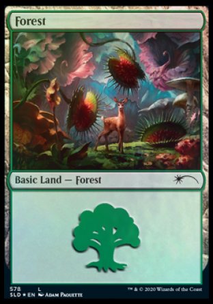 Forest (Predatory) (578) [Secret Lair Drop Promos] | Exor Games New Glasgow