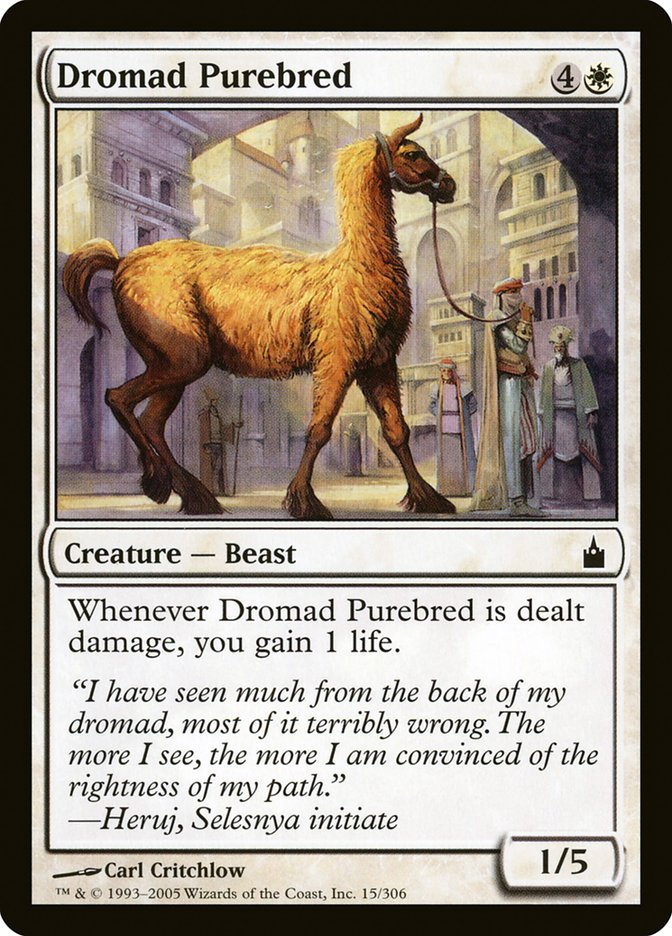 Dromad Purebred [Ravnica: City of Guilds] | Exor Games New Glasgow