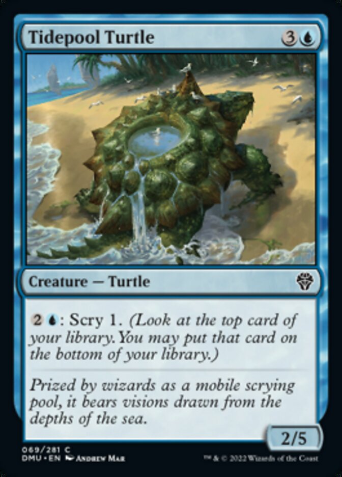 Tidepool Turtle [Dominaria United] | Exor Games New Glasgow