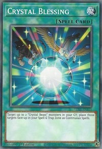 Crystal Blessing [LDS1-EN105] Common | Exor Games New Glasgow