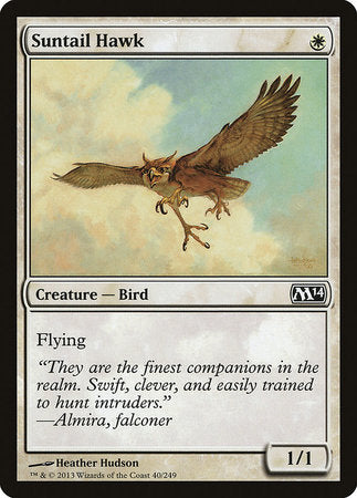 Suntail Hawk [Magic 2014] | Exor Games New Glasgow