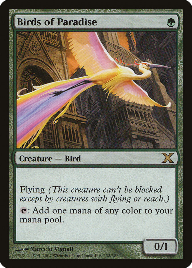 Birds of Paradise [Tenth Edition] | Exor Games New Glasgow