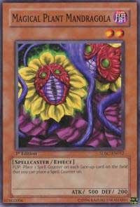 Magical Plant Mandragola [SDSC-EN012] Common | Exor Games New Glasgow