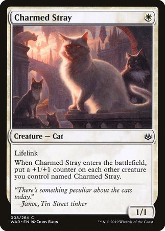 Charmed Stray [War of the Spark] | Exor Games New Glasgow