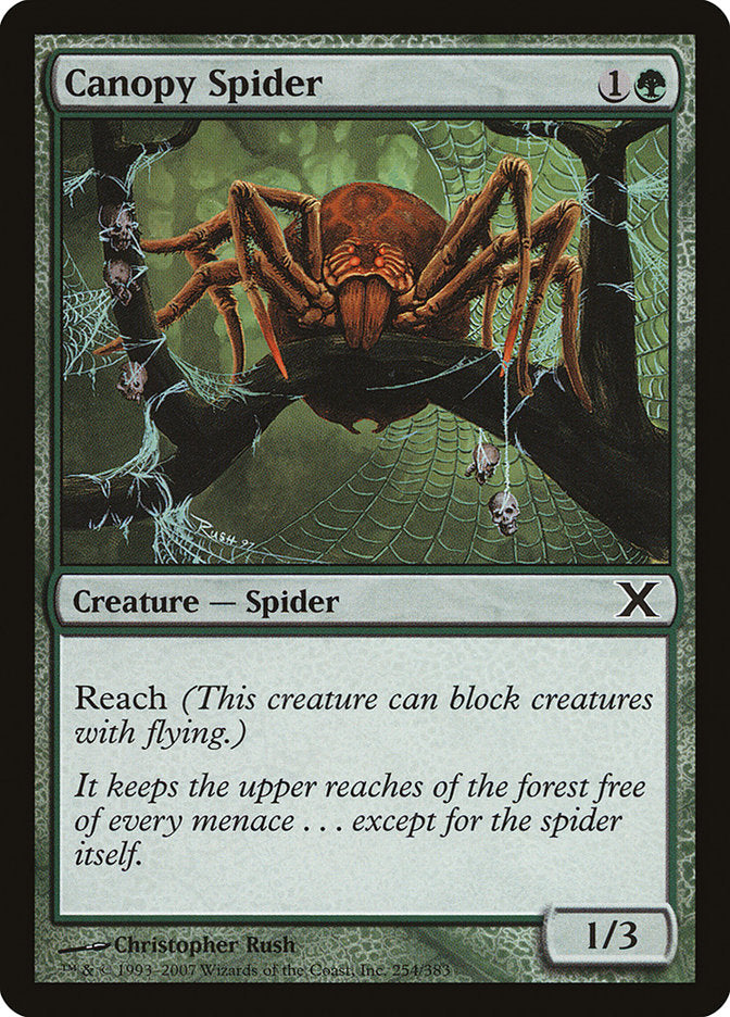 Canopy Spider [Tenth Edition] | Exor Games New Glasgow