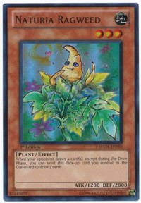 Naturia Ragweed [HA04-EN050] Super Rare | Exor Games New Glasgow