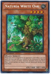 Naturia White Oak [HA04-EN051] Secret Rare | Exor Games New Glasgow