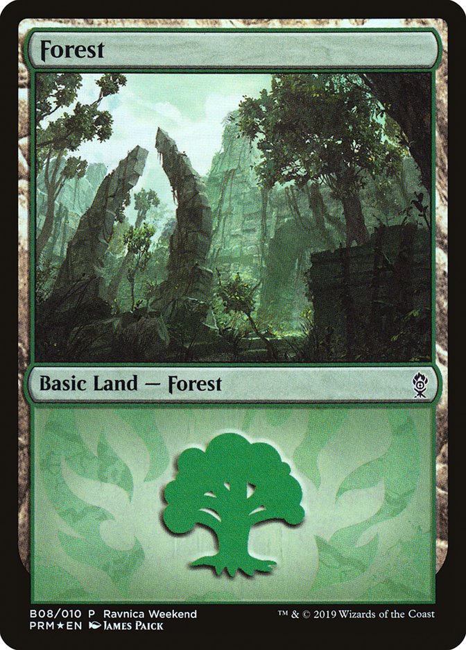 Forest (B08) [Ravnica Allegiance Guild Kit] | Exor Games New Glasgow