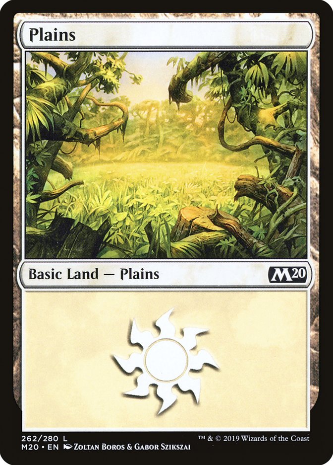 Plains (262) [Core Set 2020] | Exor Games New Glasgow