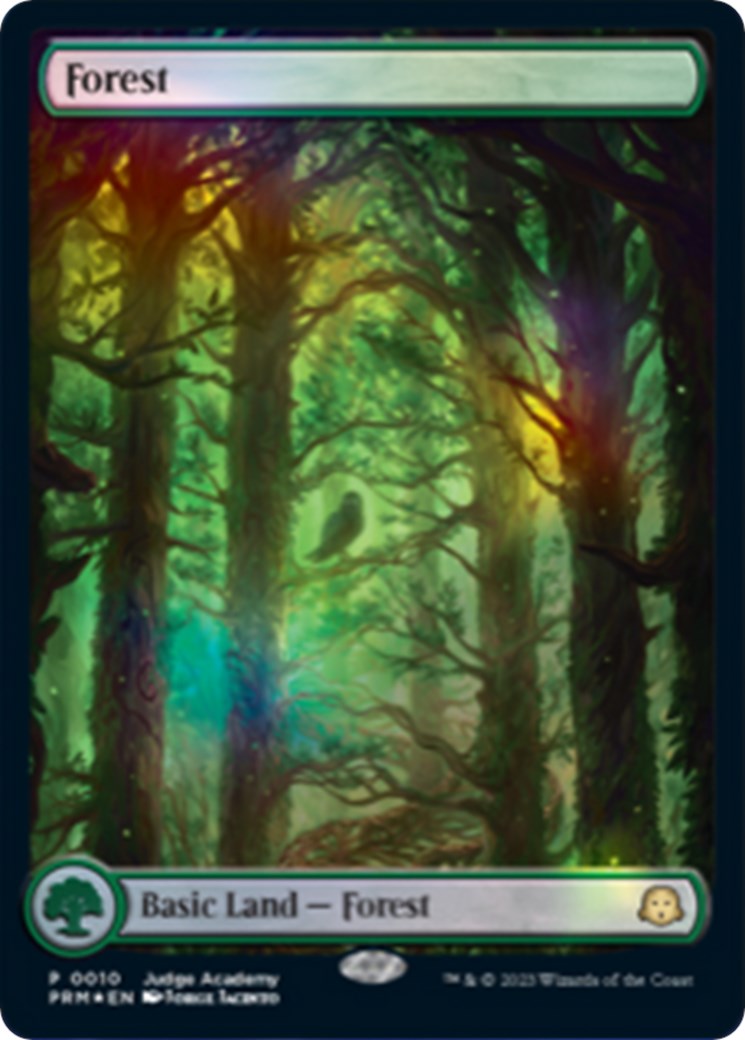 Forest [Judge Gift Cards 2023] | Exor Games New Glasgow