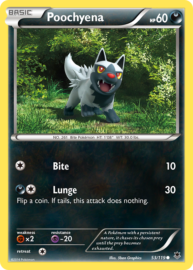 Poochyena (53/119) [XY: Phantom Forces] | Exor Games New Glasgow