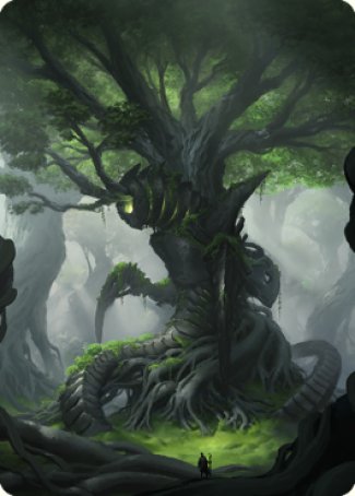 Forest Art Card [The Brothers' War Art Series] | Exor Games New Glasgow