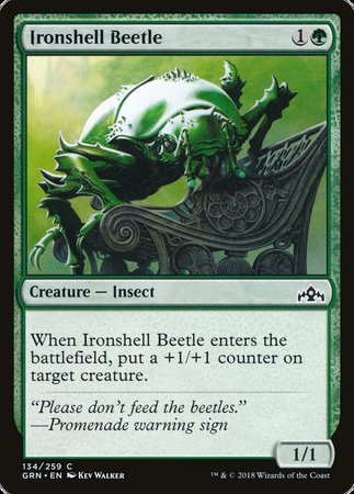 Ironshell Beetle [Guilds of Ravnica] | Exor Games New Glasgow