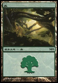 Forest - Zendikar Cycle [Magic Premiere Shop] | Exor Games New Glasgow